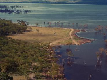 Lake Nakuru Kenya