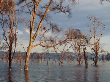 Lake Nakuru Kenya